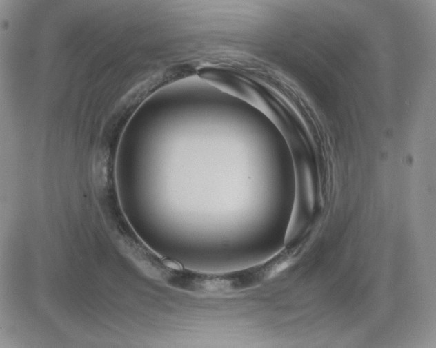 X0000082700501200701261249