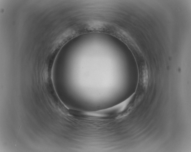 X0000082700508200701261249