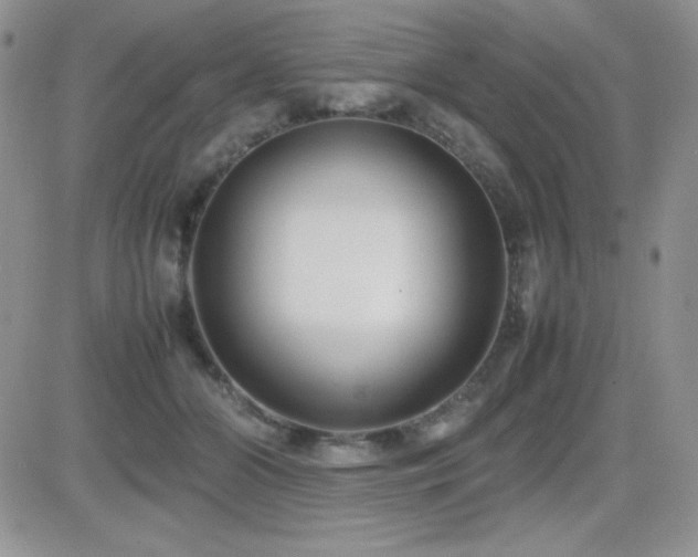 X0000082700510200701261249