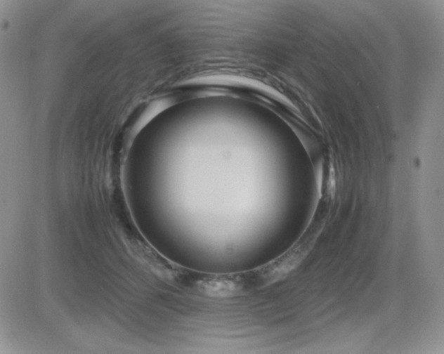 X0000082700512200701261249
