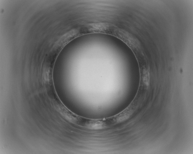 X0000082700514200701261249