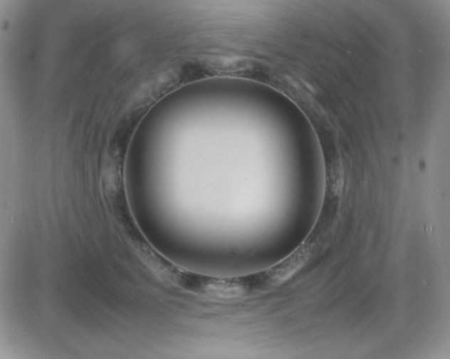 X0000082700515200701261249