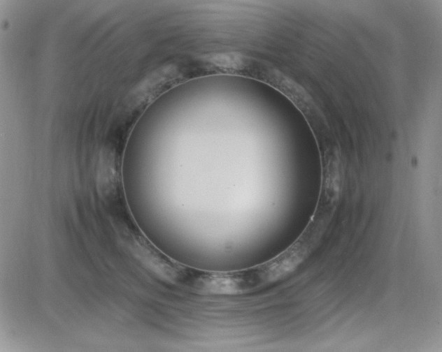 X0000082700518200701261249