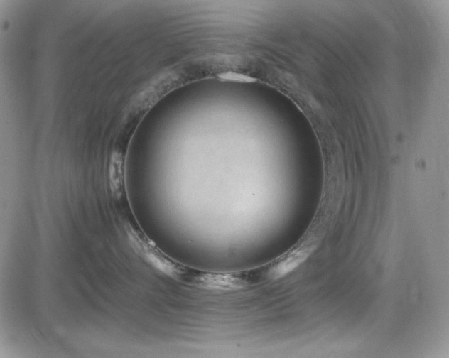 X0000082700528200701261249