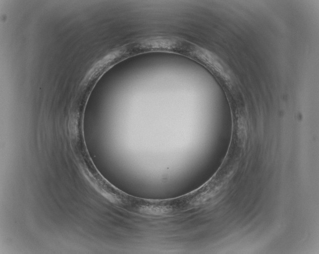X0000082700537200701261248