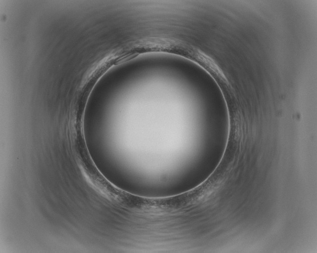 X0000082700538200701261248