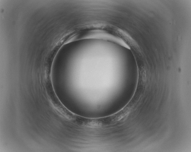 X0000082700546200701261248
