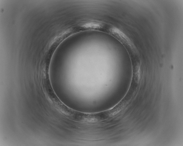 X0000082700547200701261248