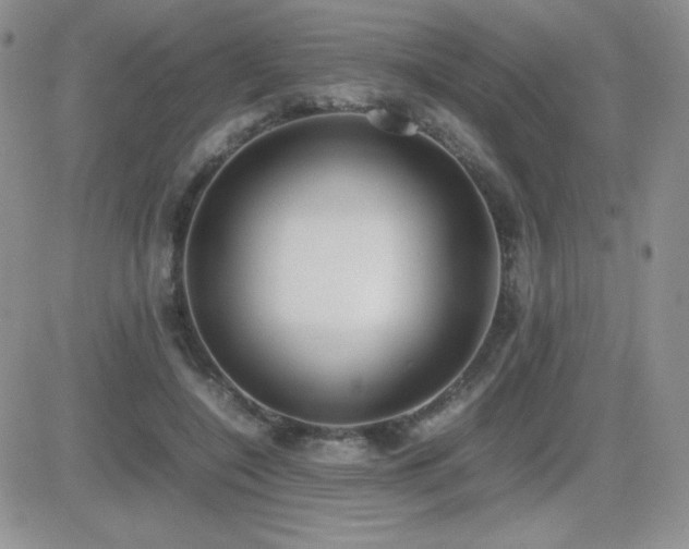 X0000082700548200701261248