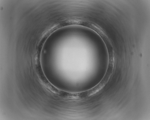 X0000082700552200701261248