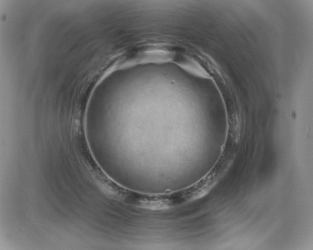 X0000082700553200701261248