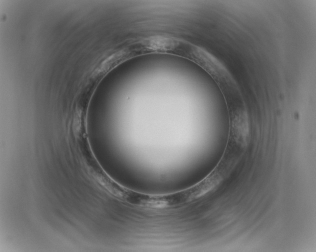 X0000082700554200701261248
