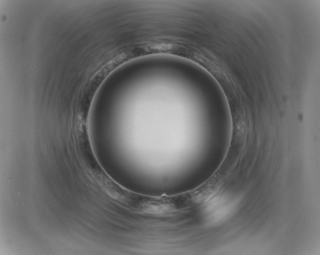 X0000082700555200701261248