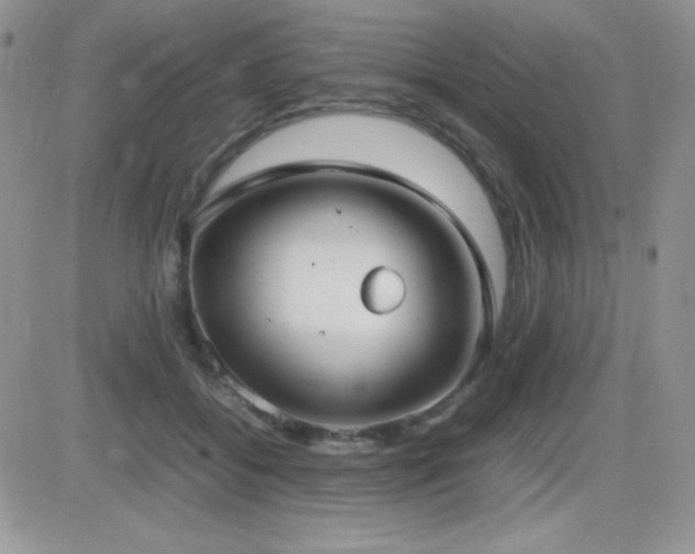 X0000082700556200701261248