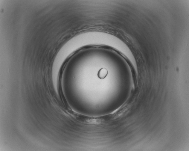 X0000082700558200701261248
