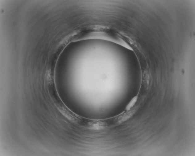 X0000082700564200701261248
