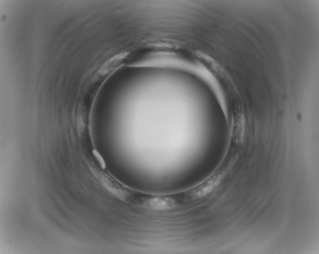 X0000082700566200701261248