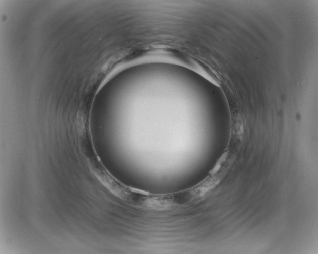 X0000082700568200701261248