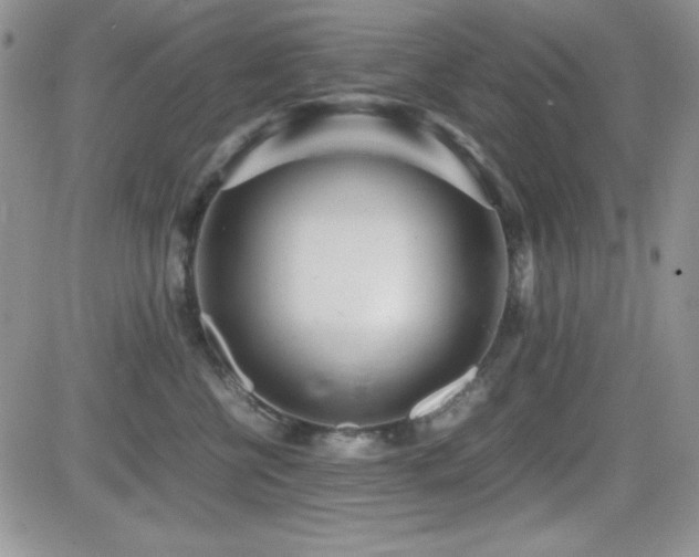 X0000082700570200701261248