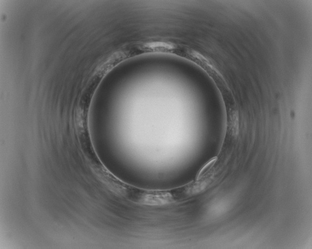 X0000082700571200701261248