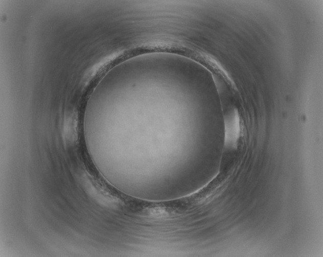 X0000082700588200701261248