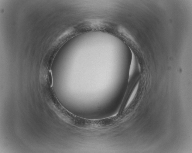 X0000082700593200701261248