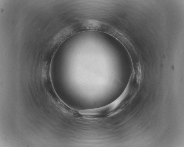 X0000082700604200701261247
