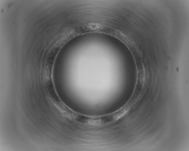 X0000082700606200701261247