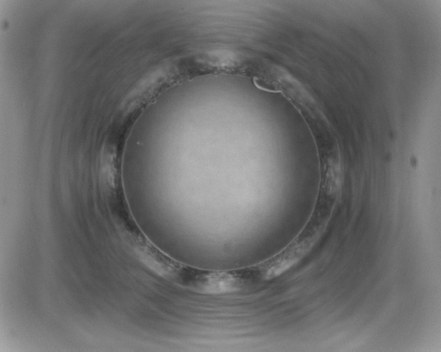 X0000082700612200701261247