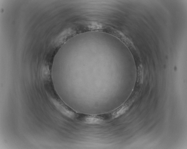 X0000082700614200701261247