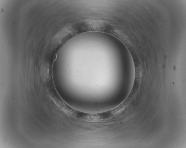 X0000082700615200701261247