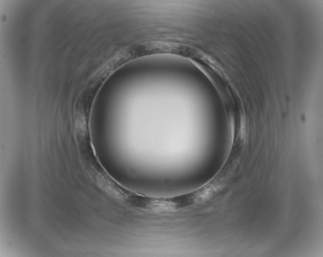 X0000082700617200701261247
