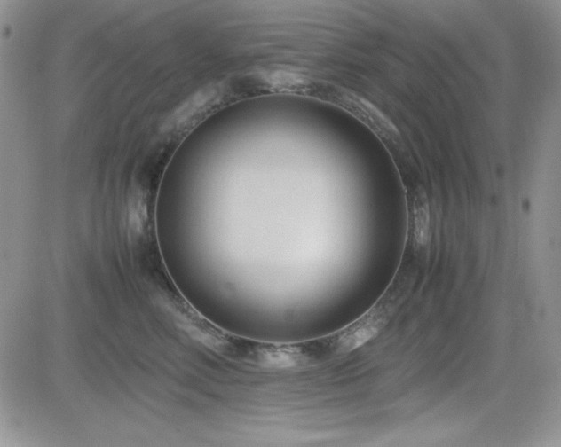 X0000082700618200701261247