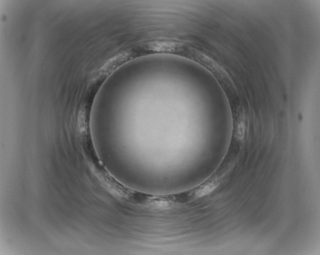 X0000082700620200701261247