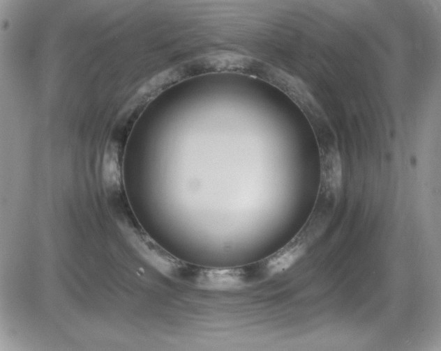 X0000082700622200701261247