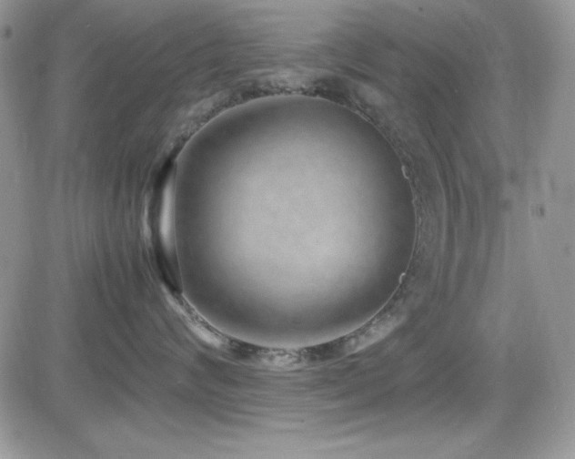 X0000082700624200701261247