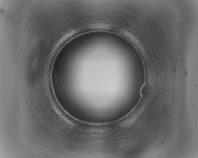 X0000082700625200701261246
