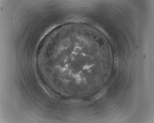 X0000082700626200701261246