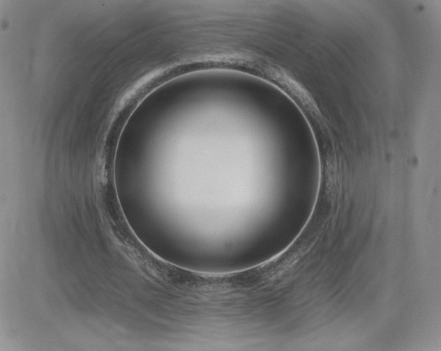 X0000082700628200701261246