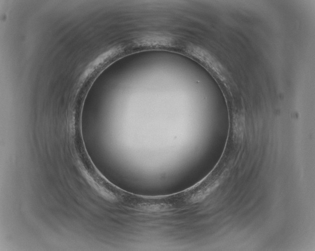 X0000082700629200701261246