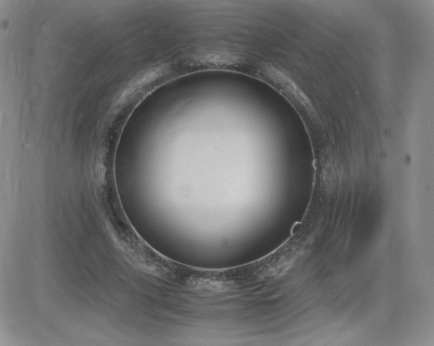 X0000082700635200701261246