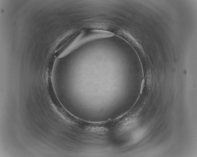 X0000082700637200701261246