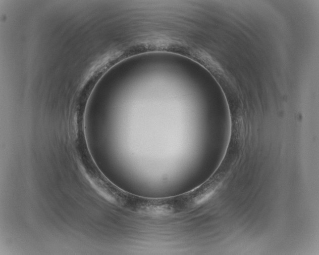 X0000082700638200701261246