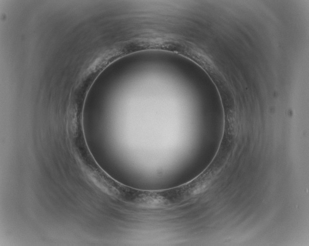 X0000082700642200701261247