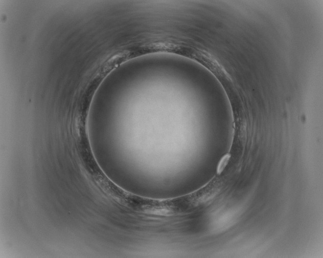 X0000082700643200701261247