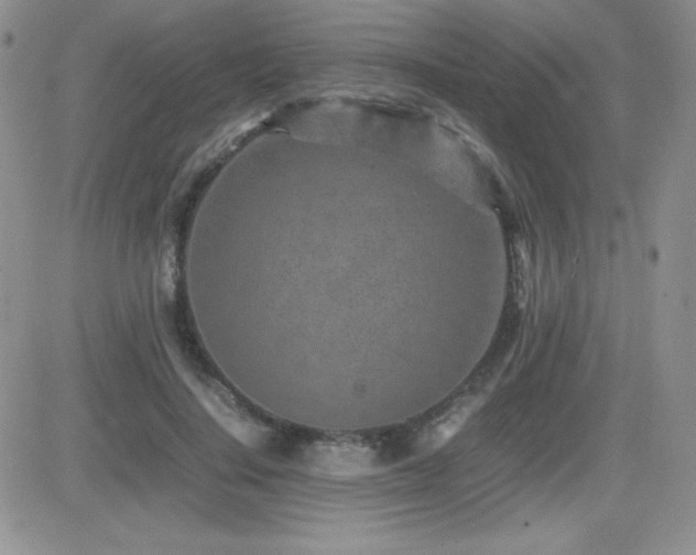 X0000082700644200701261247