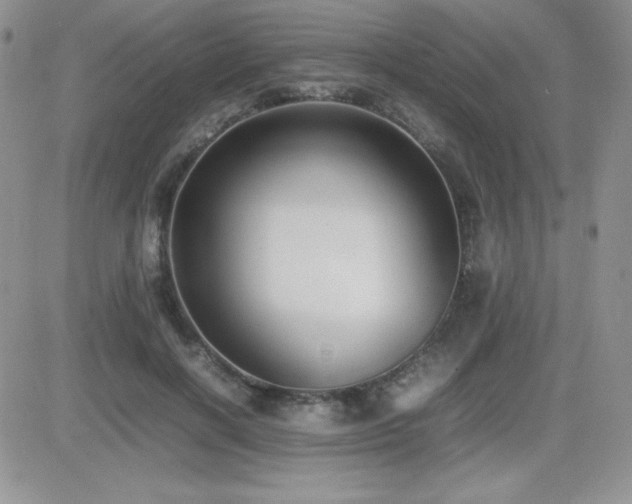 X0000082700646200701261247