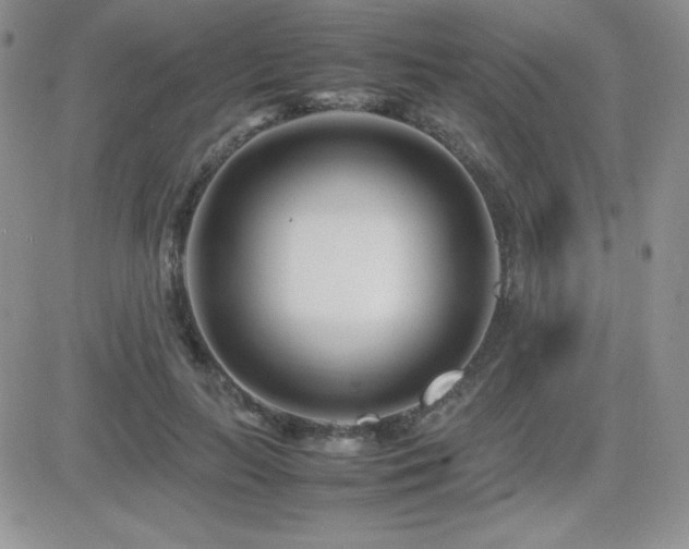 X0000082700647200701261247