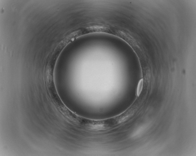 X0000082700651200701261247