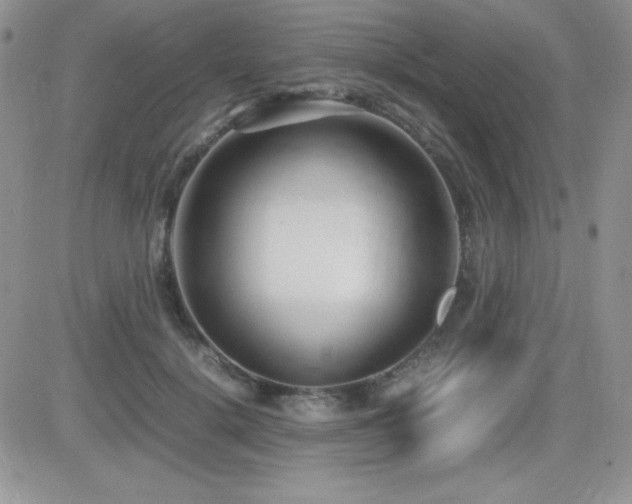 X0000082700652200701261247
